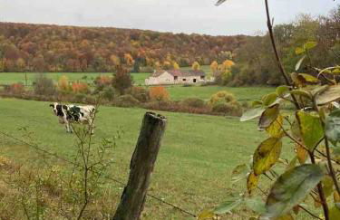 Gîte du Pavillon 4 pers Wi-Fi Haute Marne - Foto 9