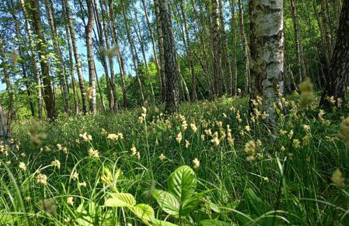 Chata Miła Agroturystyka - Foto 11