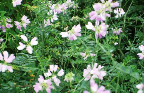 Ferienwohnung Örtl 7 - Foto 32