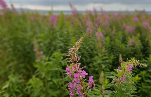 Hebrides Bothy - Photo 23