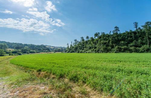 Todi Truffle - Photo 28