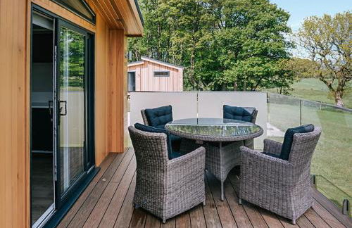 Nash - Uk51101 - Foto 5