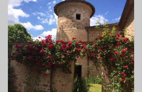 Domaine de la Durantie Duplex Vieux Chateau - Foto 21