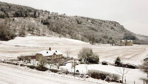 Castle Kennels - Foto 2