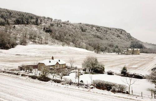 Castle Kennels - Foto 2