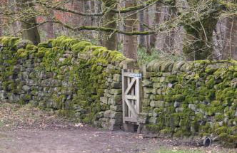 Spacious and bright 1 - bedroom rental unit - Photo 20