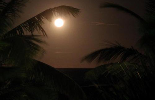 Ouro Sobre Azul Apart Hotel - Foto 130