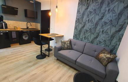 Le Cinq Bis : centre-ville*proche gare*parking - Foto 12