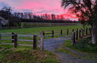 Le p'tit bénété - Foto 16