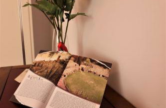 Platea Cavour - Foto 20