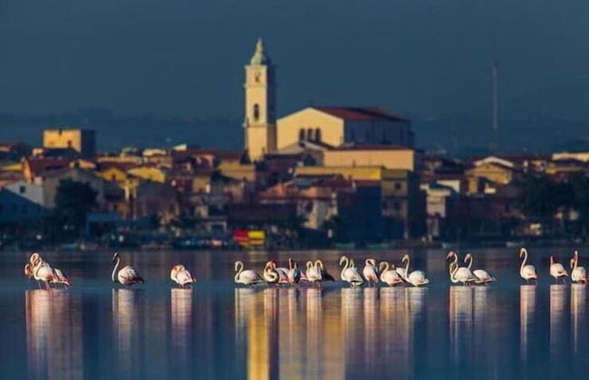 Casale Villa Giulia - Foto 30