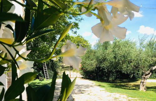 Az. Agr. Parco dei Buoi - Foto 8