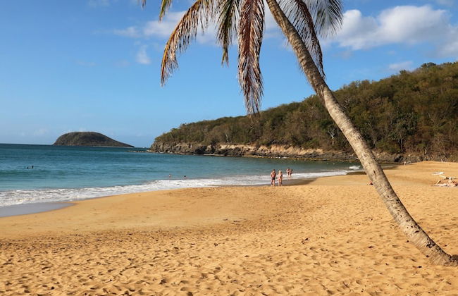 Gite Bois-Cannelle - Photo 24