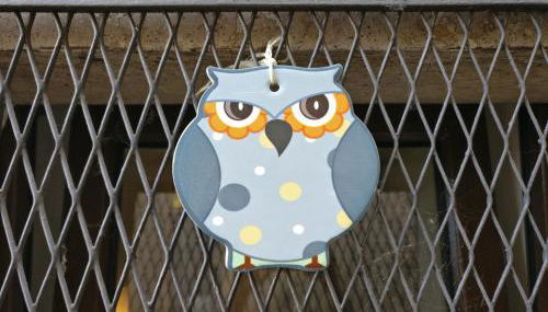 La Chiave del Gufo - Bojano - Foto 4