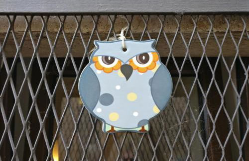 La Chiave del Gufo - Bojano - Foto 4