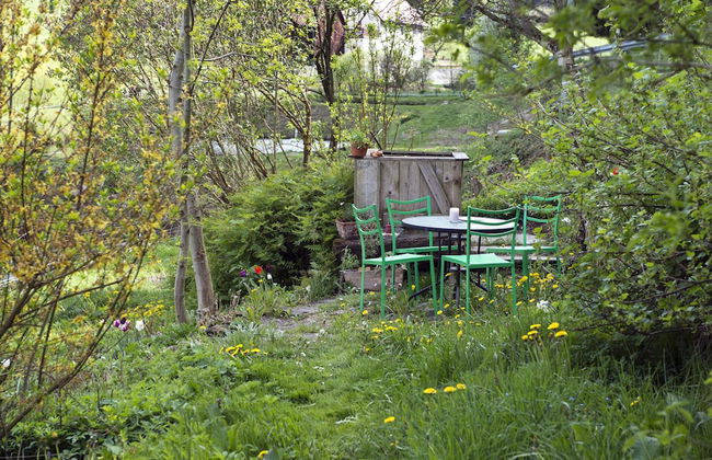 Apartment in Schonsee Near Lake Beach - Photo 24