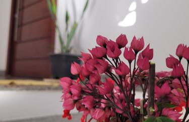 Casa Bastos - Photo 3