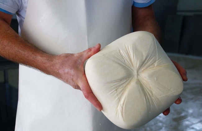 Visita a la quesería Subaida - Foto 3