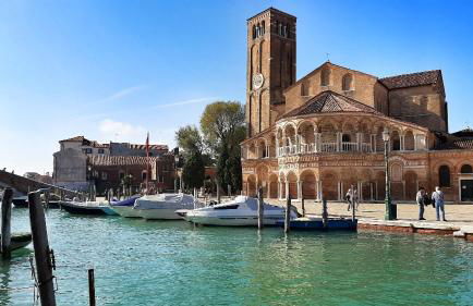 YELLOW GARDEN - Photo 8