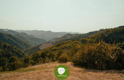 Villa Cerfoglio, pace sulle colline romagnole - Foto 9