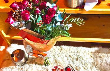 Bangalô dos Alpes de São Chico - Foto 9