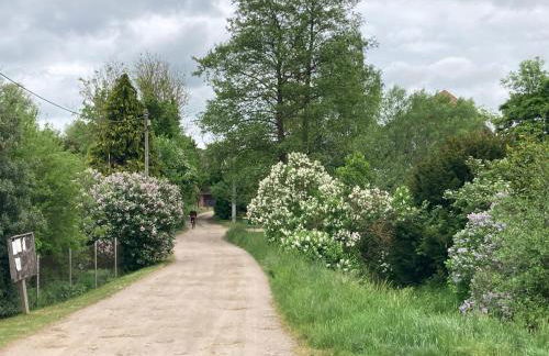 Wohnen im Gutshaus - Foto 24