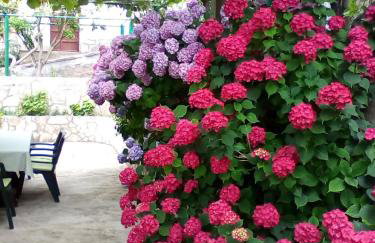 Vila Marijeta - Foto 16