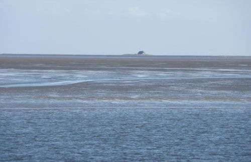 Op Lundingland - Photo 13