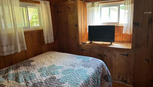 Adirondack Waterfront Cabin Upper Hudson Tributary - Foto 3