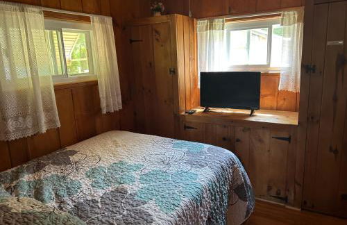 Adirondack Waterfront Cabin Upper Hudson Tributary - Foto 3