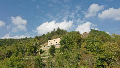 Villa Terra Motovun - Foto 5