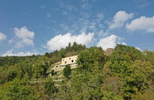 Villa Terra Motovun - Foto 5