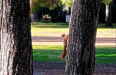 Beach apartment - Photo 48