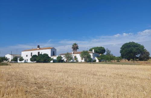 Cortijo Las Cruces Guillena - Sevilla - Foto 8