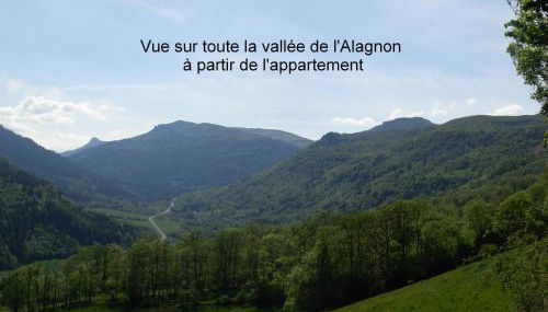 Vacances au pied des Monts du Cantal - Foto 4