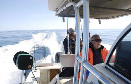 Apartments Silvana - Foto 1