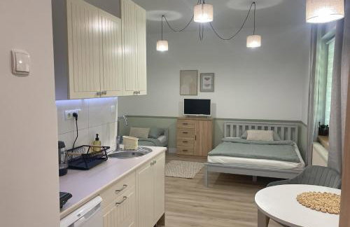 Klimaty- apartamenty nad rzeką - Foto 70