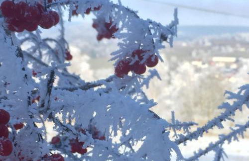 LICHTECK - Helle Ferien - Foto 51