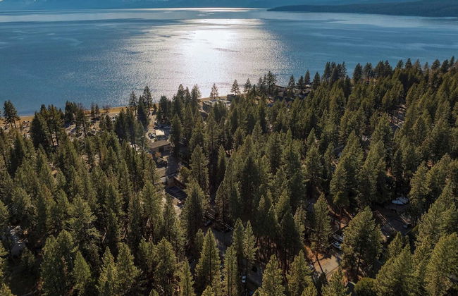 Lake Star by Avantstay Hot Tub, Walk to Beach - Foto 36