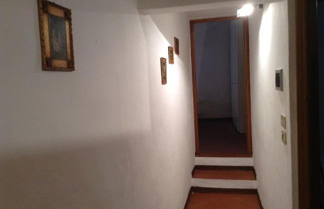 Vellutini Number One - Foto 62