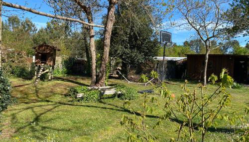 Entre Bordeaux et l'océan - Foto 3