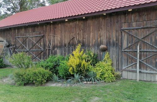 Domek na wsi Wiejsko Czarodziejsko - Agroturystyka Podlasie - Foto 16