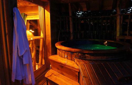 Cabanes des Volcans - Foto 9