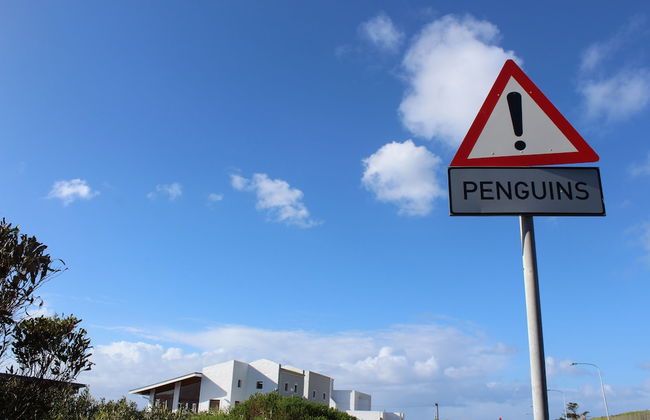 Boulders Beach House - Foto 14
