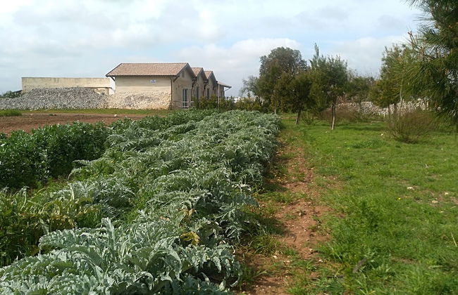 Falcon Home Resort - Photo 49