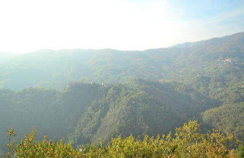 Tranquil Stone Chalet - Foto 30
