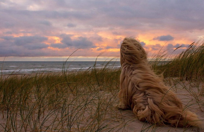 4 Star Holiday Home in Hvide Sande - Photo 32