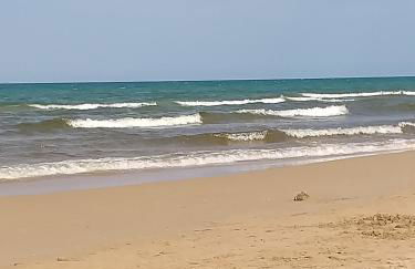 Oliva Nova flat in front of MET - Photo 16