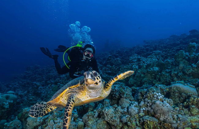 Plongée à Bali en petit groupe - Photo 3