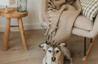 Między lasem, polem a jeziorem - domek na Mazurach - Foto 13